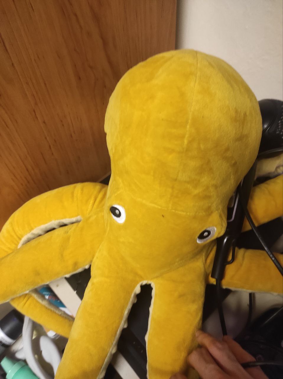 Octopus